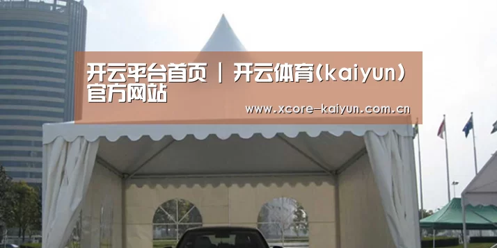 案例标题八