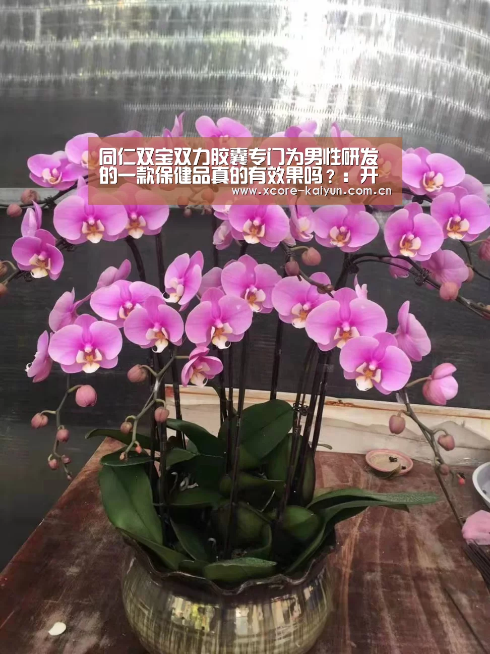 同仁双宝双力胶囊专门为男性研发的一款保健品真的有效果吗？：开元棋牌官方下载
