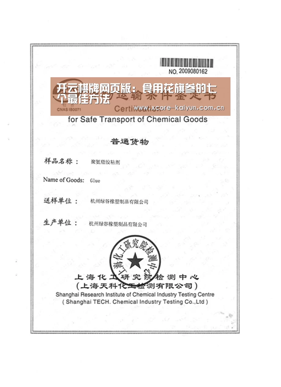 开云棋牌网页版